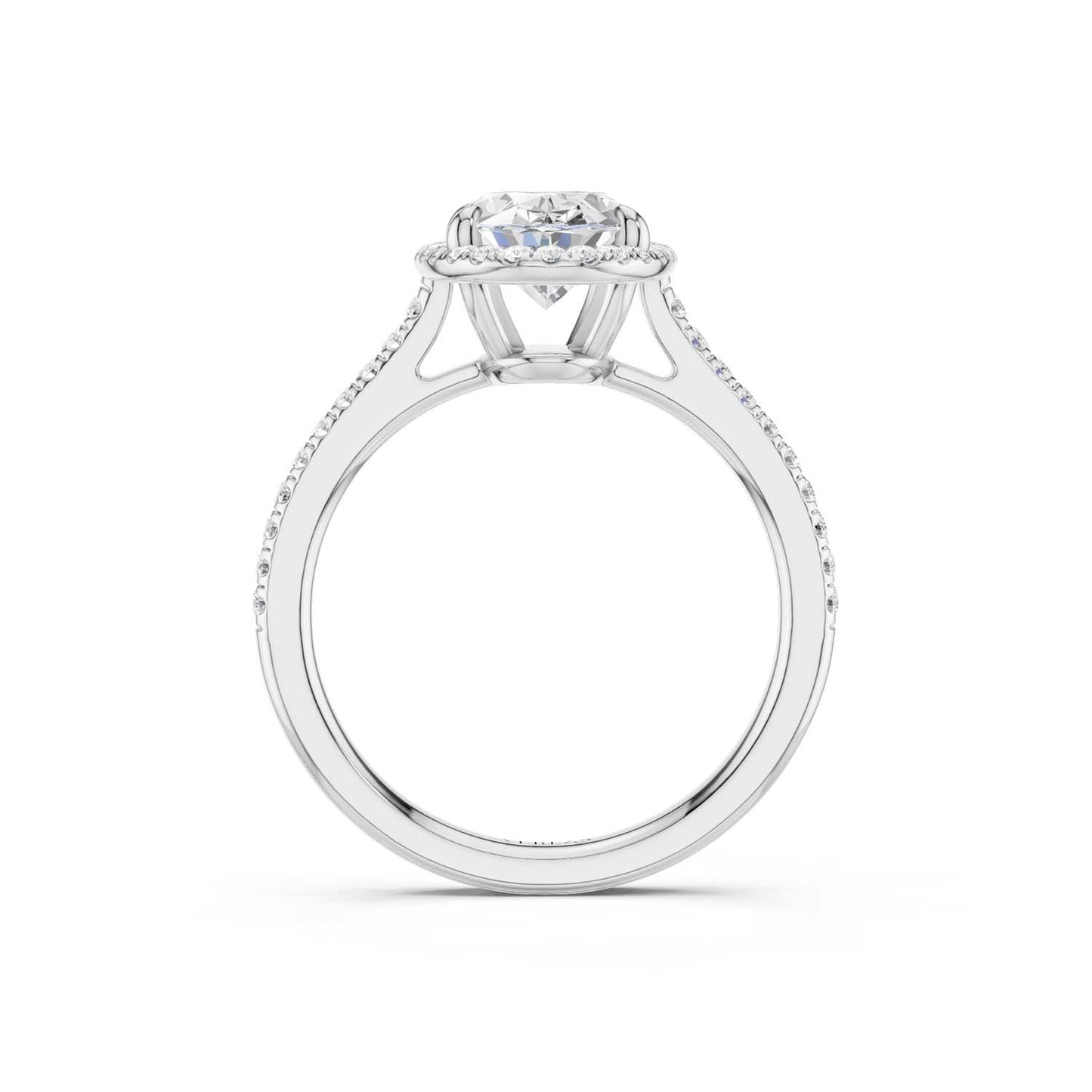 Ellipse Signature Halo Ring