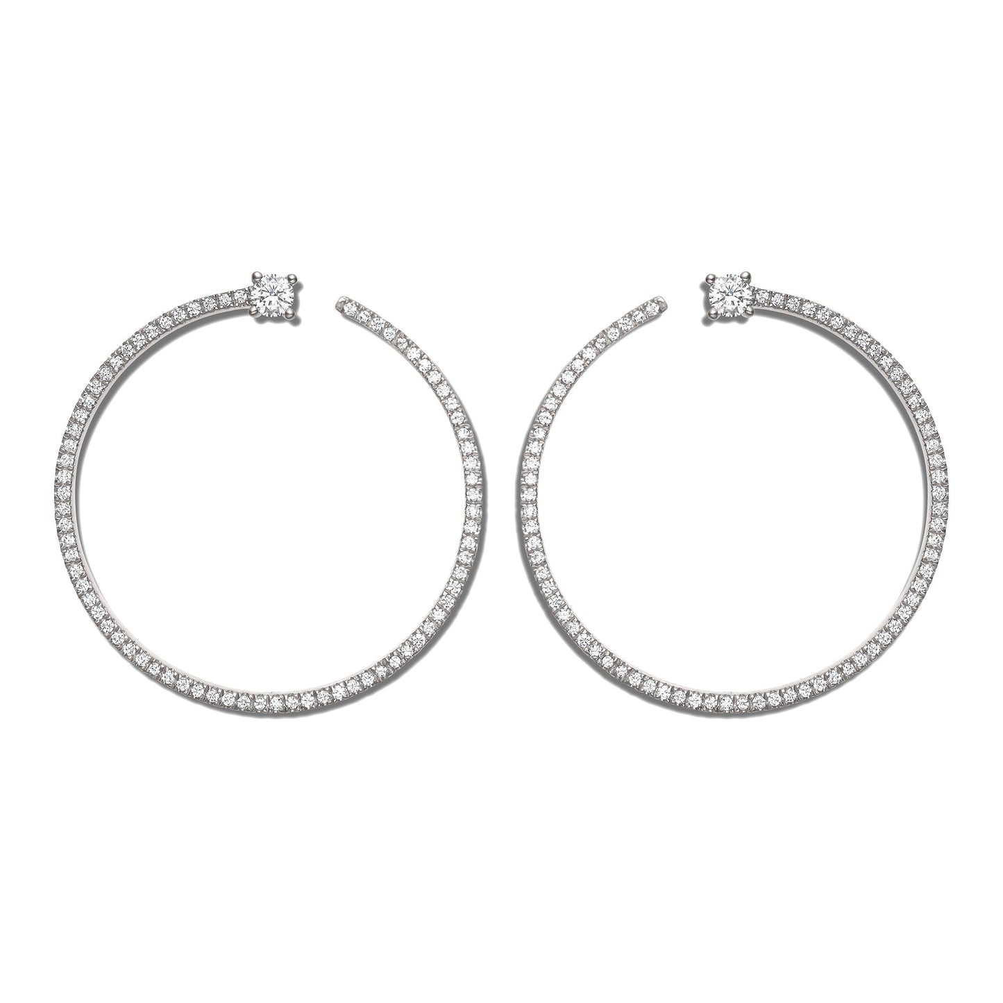 Shimmering Bardot Hoops