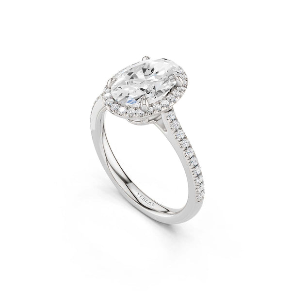 Ellipse Signature Halo Ring